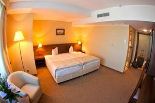 Отель Grand Hotel Тыргу-Муреш Двухместный номер с 1 кроватью или 2 отдельными кроватями-2